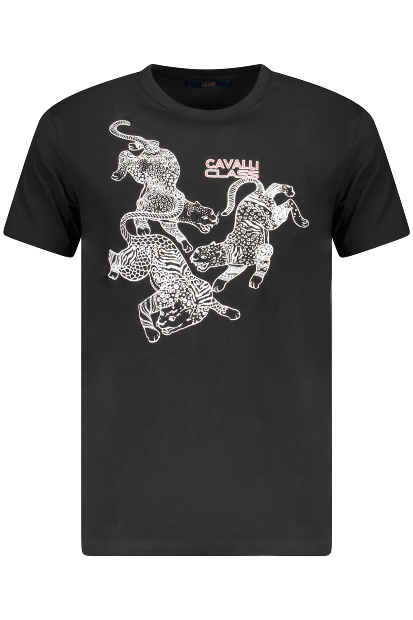 CAVALLI CLASS T-SHIRT