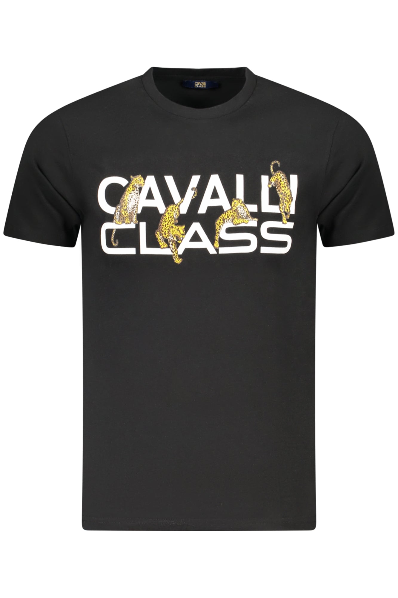 CAVALLI CLASS T-SHIRT