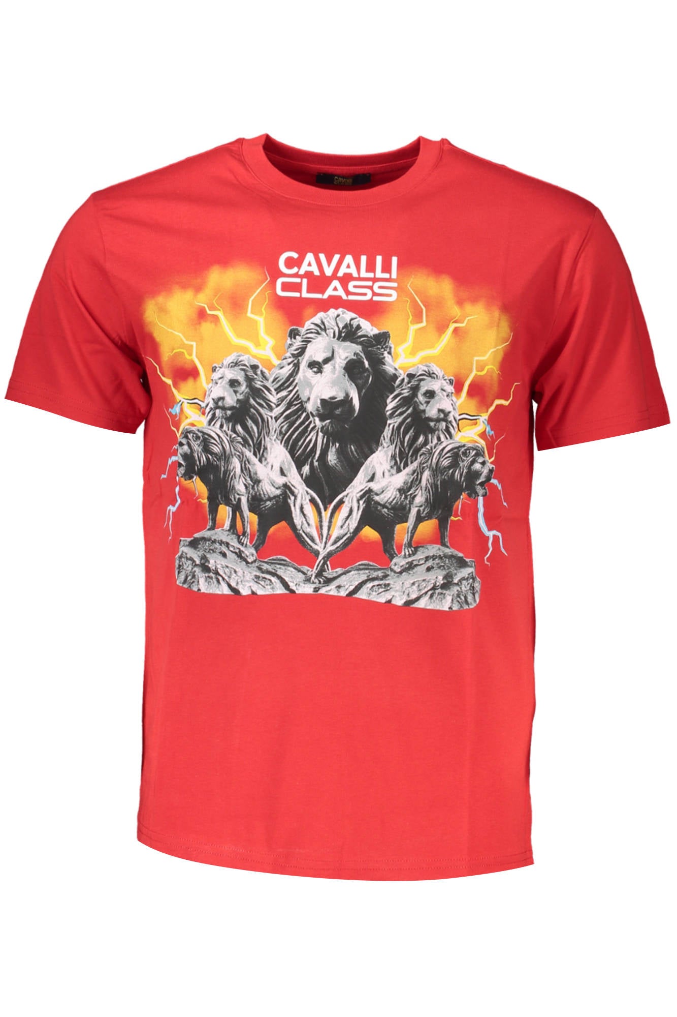 CAVALLI CLASS T-SHIRT